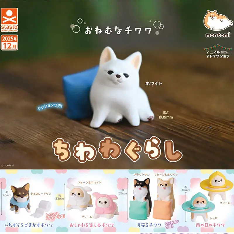Figuras de Chihuahua STASTO, Lindas Mini Figuras Coleccionables de Perros, Decoración de Escritorio para la Vida Diaria, Muñecos de Juguete Hechos a Mano para Coleccionistas