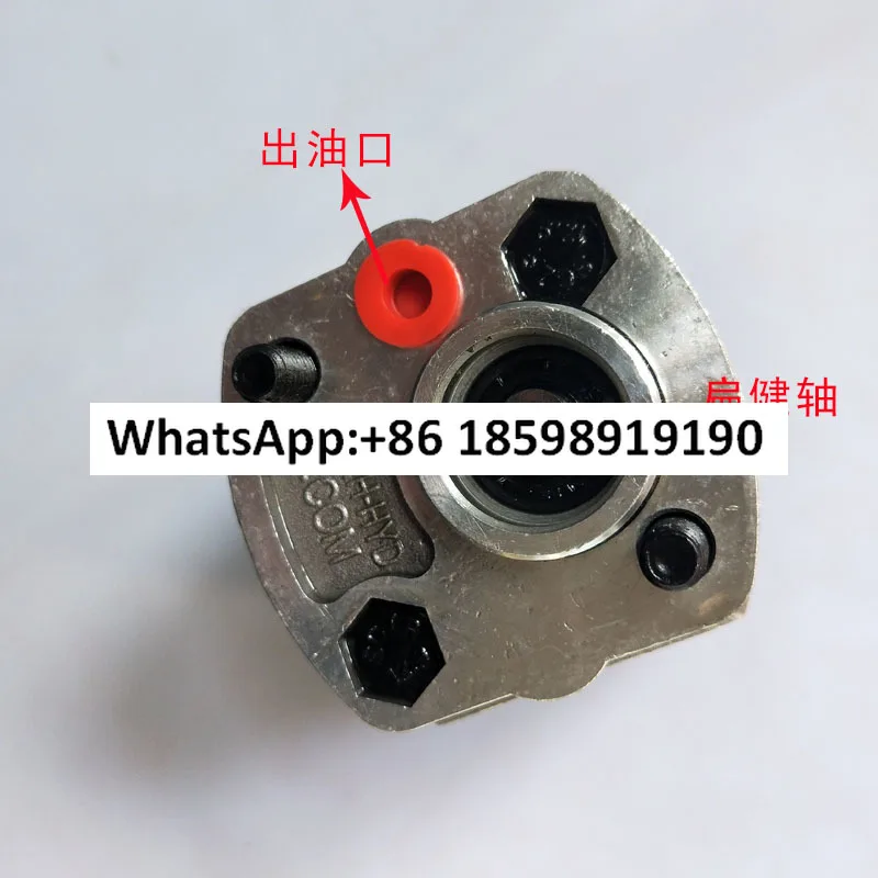 L2P-F1.6F-LKB-NOBF L2P-F4.2 L2P-F2.1 Gear Pump-image