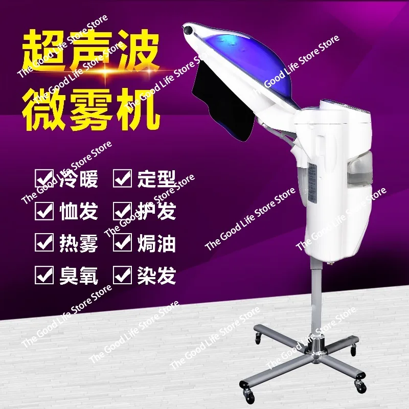 Oil Treatment Ozone Micro Mist Steam Care Hair Care Heater Lights 12 Lights with Remote Control
