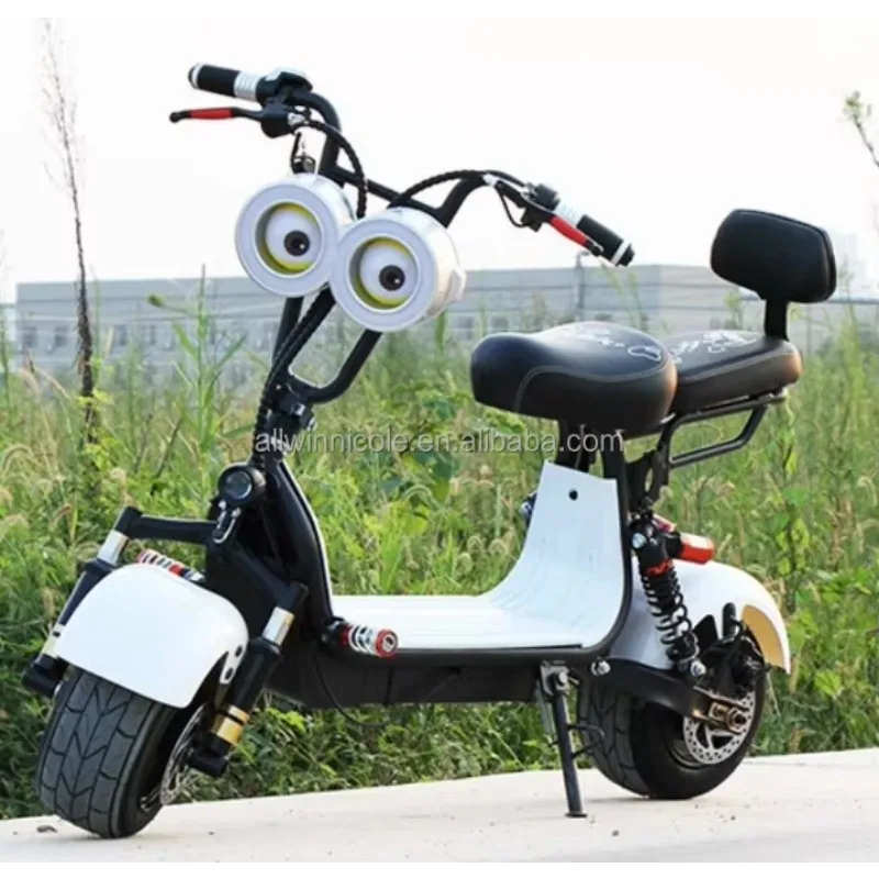 Cute Harle 800W Citycoco Electric Scooter High Quality Mini Electric Motorcycle Smart Electronic Type