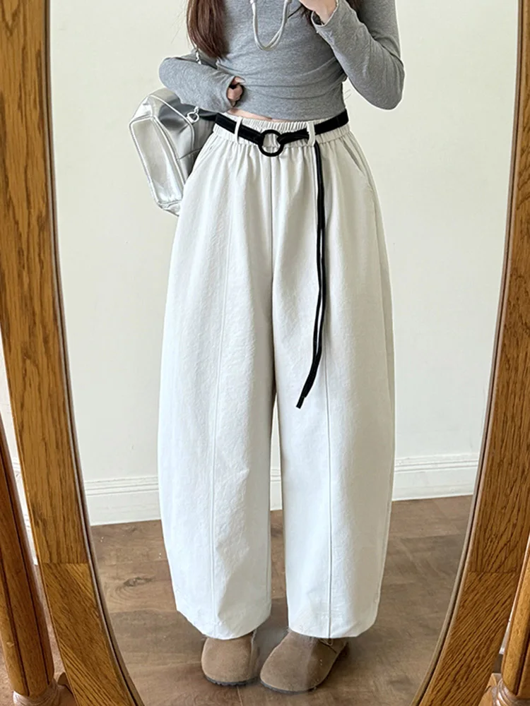 Calças Casuais de Cintura Alta e Pernas Largas para Mulheres, Novas para Outono e Inverno, Slimming Versáteis, Calças Harlan Coreanas de Nove Pontos