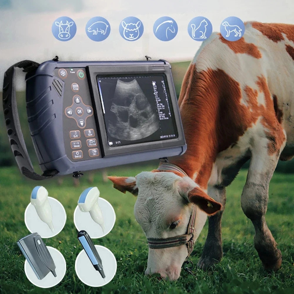 5.6 Inch LED Screen Veterinary Ultrasound Scanner Cow Pig Horse Portable Ultrasound Pregnancy Testing Machine（Probe Optional）