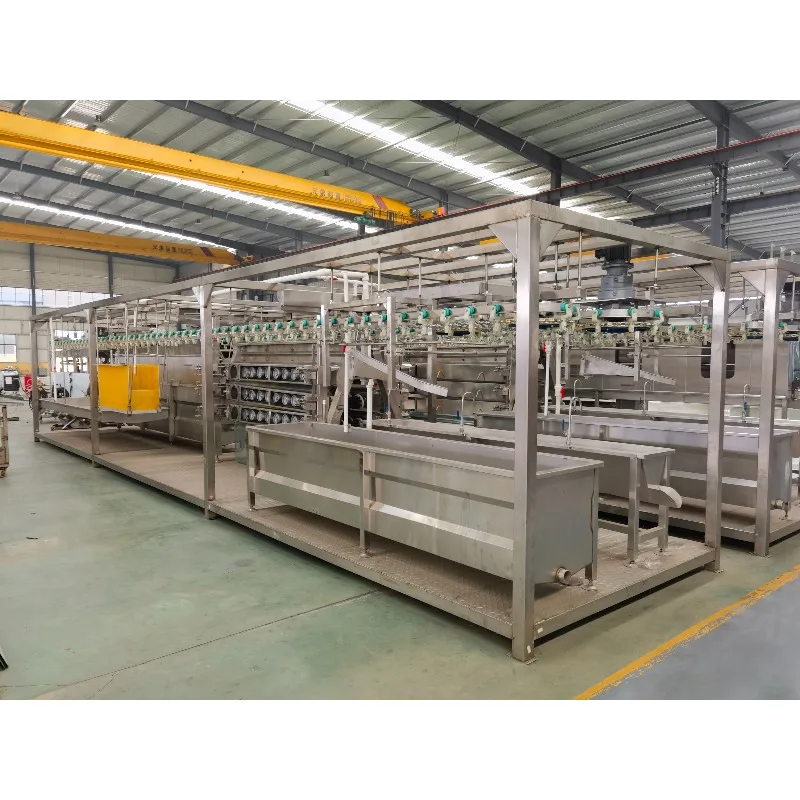 Full Automatic Poultry Slaughter Line Continuous Chicken Duck Scalding Plucking Processing Machine Complete Slaughter Equipment