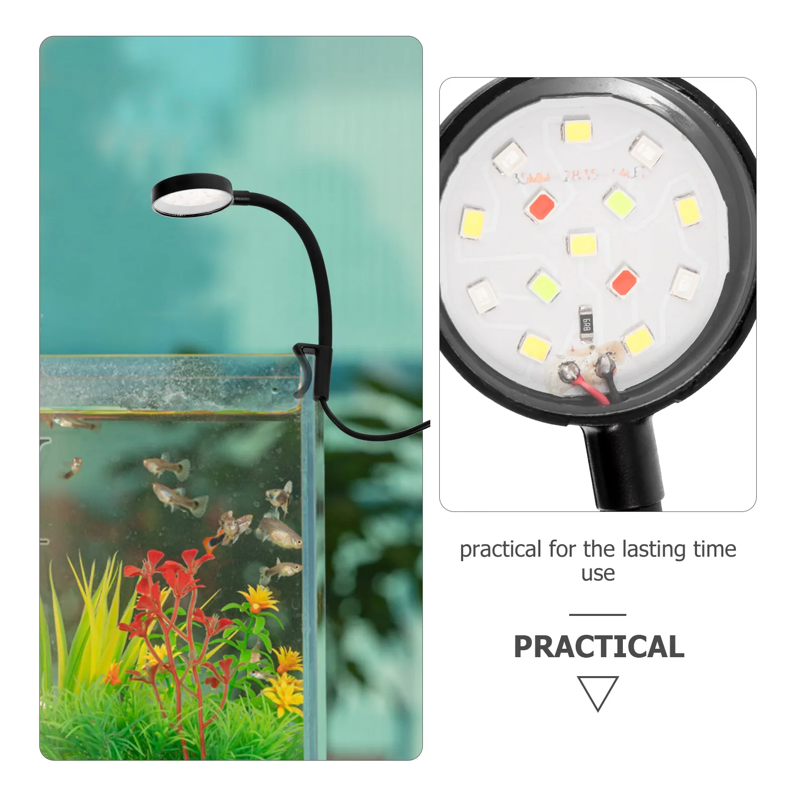 

Fish Tank Lamp Mini Aquarium Accessory USB Marine Light Black Waterproof LED Lighting Small Tank Clip Wear Resistant Reusable