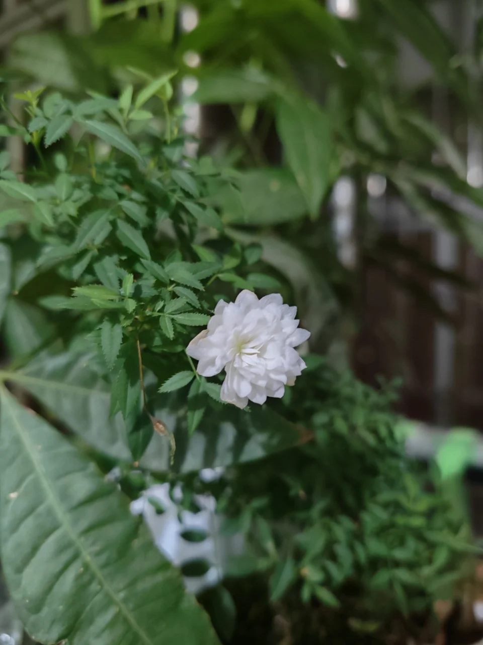 

rocking sunlounger cover Waterproof Outdoor Lounge Chair Protector Adjustable Drawstring Garden Wooden Rocking Chair dust covers