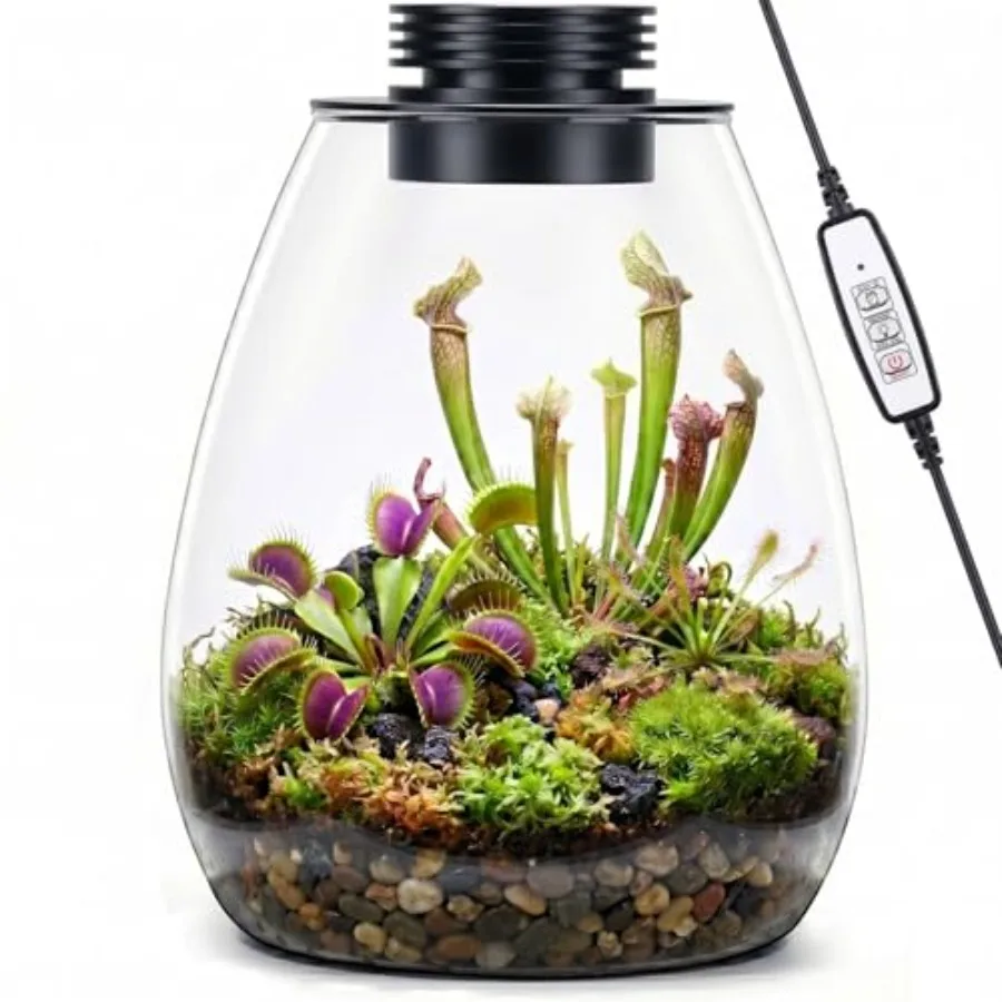 

Desktop Glass Terrarium with Grow Light H:7.8" D:6.7",for Succulent, Moss, Miniature Gardening Landscape, Betta Fish Tank, Indo