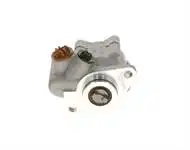 Store code: k00000379 for the steering pump mechanical (SAGA donald) F2000 ()