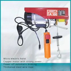 Construction Site Micro Electric Hoist 220V 12M Household Small Crane Electric Hoist