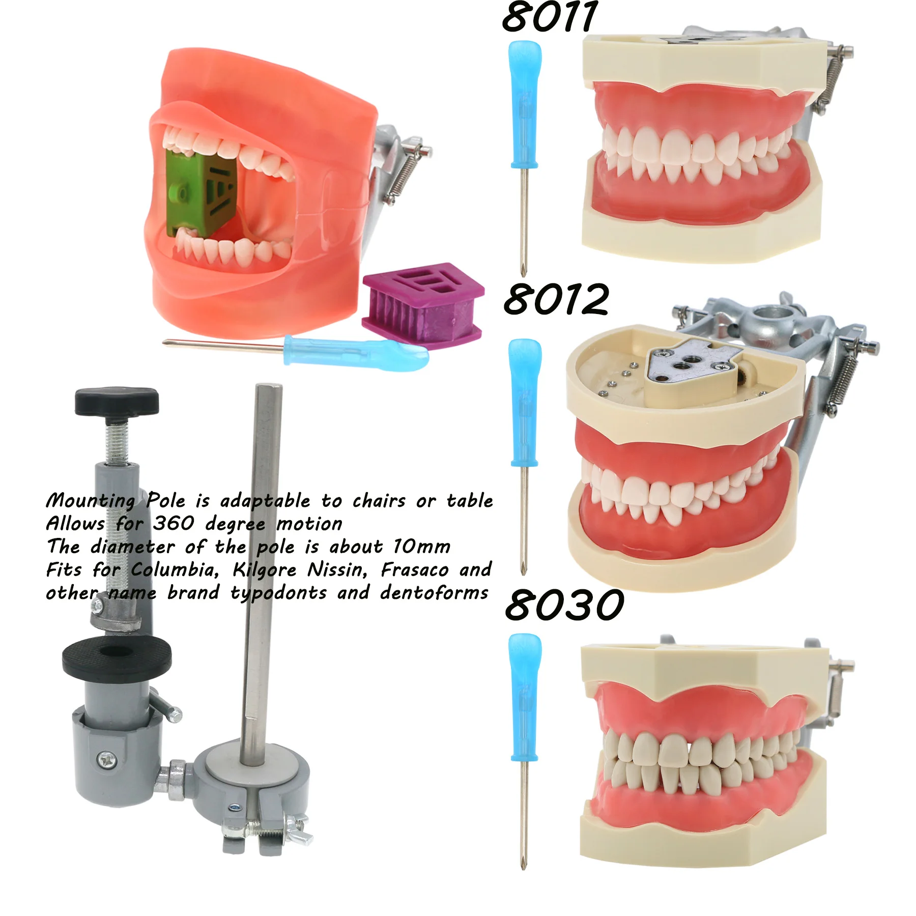 

Dental Typodont Model Mounting Pole fit Kilgore Nissin 200/500 Type Columbia Frasaco860 Screw-in 32/28 pcs