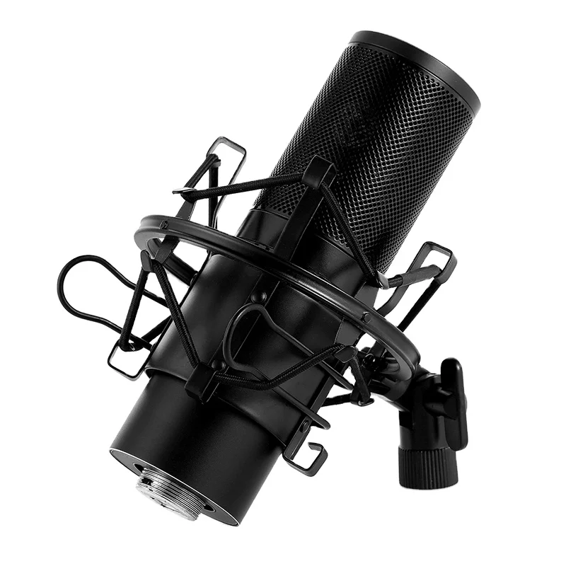 High Quality Clear Sound Studio Microphone Condenser Studio Recording Mic Set