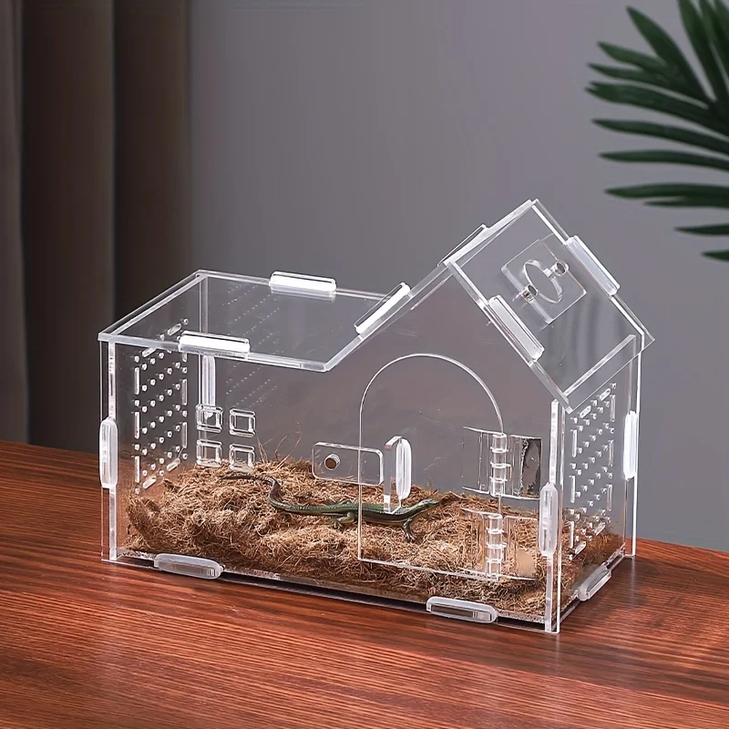 

Acrylic Terrarium for Lizards, Reptiles, Jumping Spiders, Other Crawling Pets, Display & Storage Enclosure, Pet Breathable House