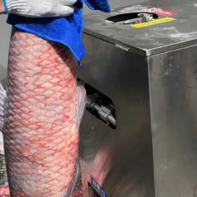 

Fish Killing Machine Full-Automatic Descaling Belly Opening Commercial Fish Slaughtering Machine To Kill Eel Loach