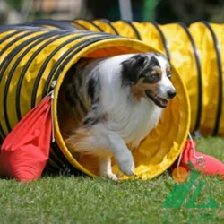 Dog Training Shuttle Tunnel Behavior Aids Agility Large Toys Treadmill International Competitive Sport Dogs Supplies Accessory