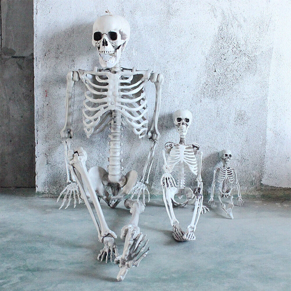 90/170cm lebensgroße menschliche Skelett Halloween Horror Anatomie bewegliche Schädel Skelett Halloween Dekoration Party Requisite