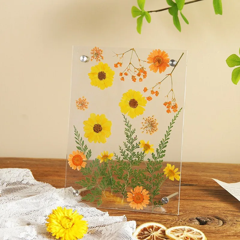 Multi-purpose 6/7Inch Acrylic Photo Flower Frame Acrylic Screen Picture Holder Rectangle Picture Frame Plant Specimen