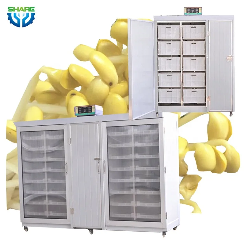 Automatic Mung Bean Sprout Making Machine Home Bean Sprouts Sprouter Machine