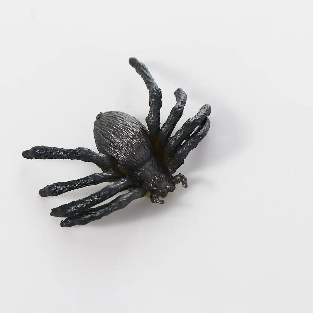 

Toy Educational Beetle Fake Insect PVC Cockroach Realistic Insect Figurine Insect Model Animal Insect Toys Simulation Insect