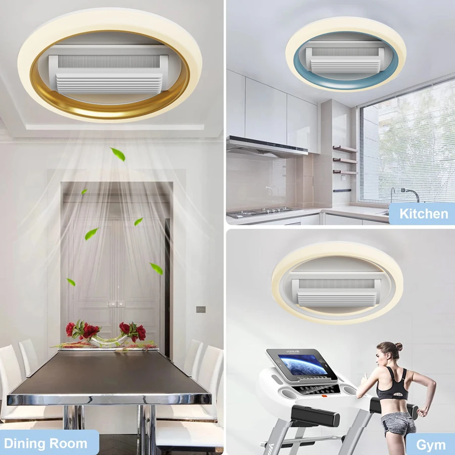 48CM LED Ceiling Fan Light Remote Control With Infinite Dimming 6 Levels Of Wind Speed ​​Living Room Bedroom Chandelier Fan