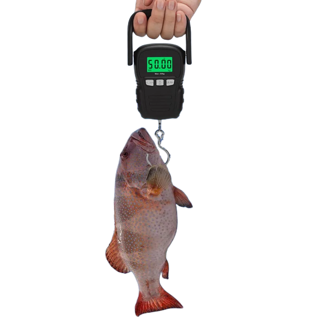Hot Selling 110lb 50kg Electronic Handle Hanging Weighing Measuring Tape Luggage Scales Fishing Scale Digital With Hook