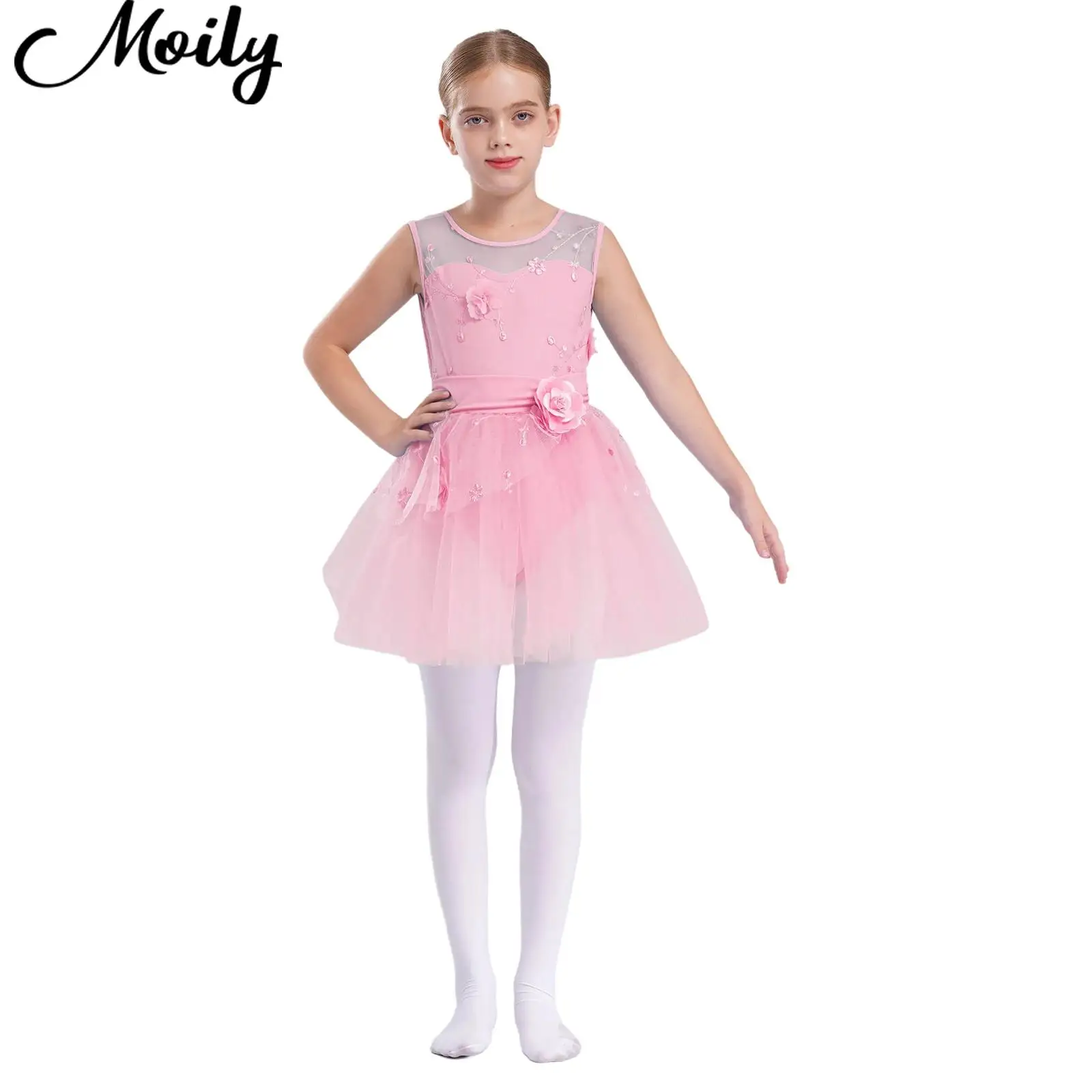 

Sleeveless Ballet Dance Tutu Dress for Teen Girls Applique Embroidered Dress Party Dress 5 Colors Ballerina Performance Costume