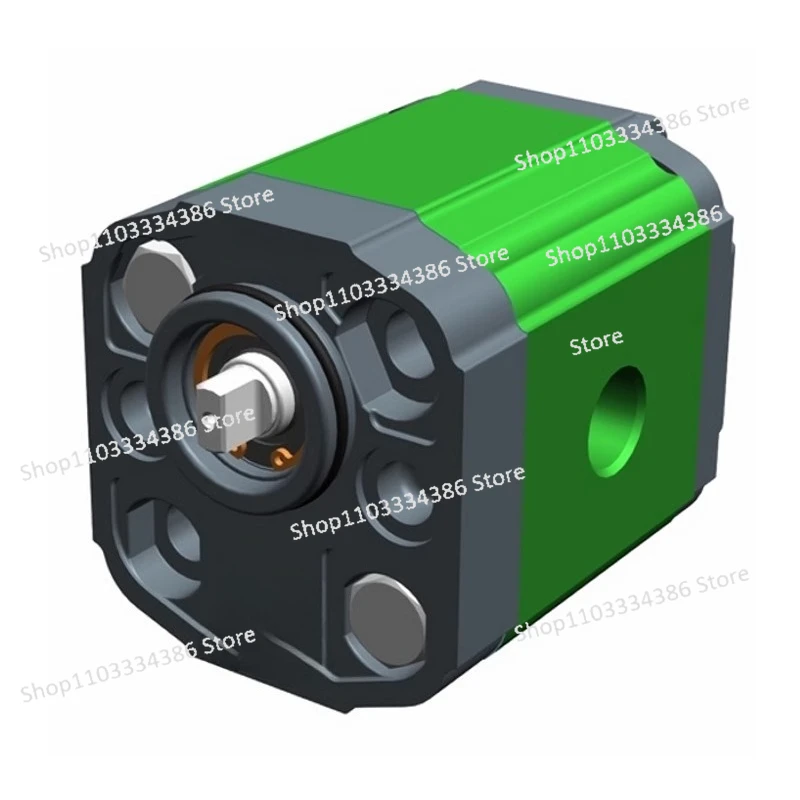 

Gear Pump X1P17182021232527293132343642DBBA