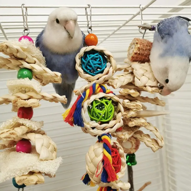 Natural Parrot Chew Toy 4