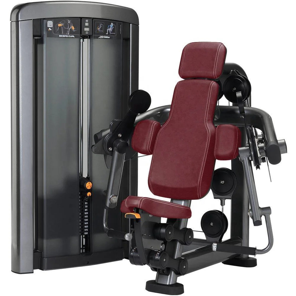 

Muscle Building Fitness Equipment Seated Biceps Curl Machine for Gym Club