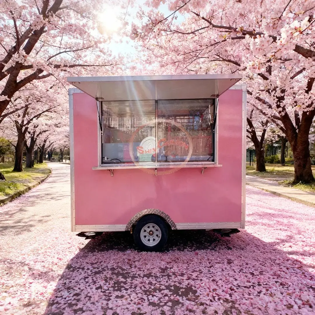 

Customizable Towable Food Concession Trailer Mobile Kitchen Cart with Sink And Range Hood for Fast Food Vending