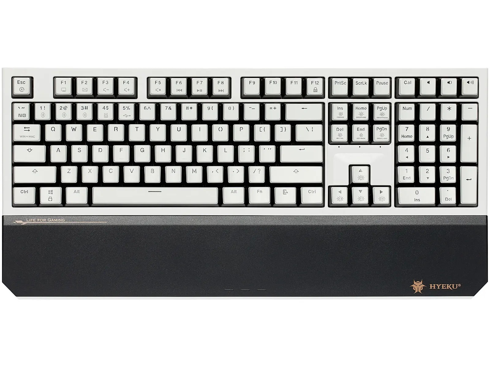 

Беспроводная механическая клавиатура Hexgears X5Pro с переключателем Kaihl Box, набором текста, эргономичной 10-клавишной клавиатурой для пишущей машинки с подставкой для запястья
