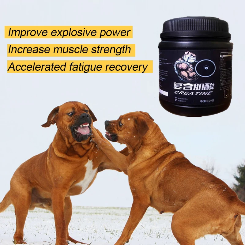 Pit Bull Gree Racing Dog To Improve Explosive Power To Enhance Muscle Strength To Accelerate Fatigue Recovery To Increase Muscle