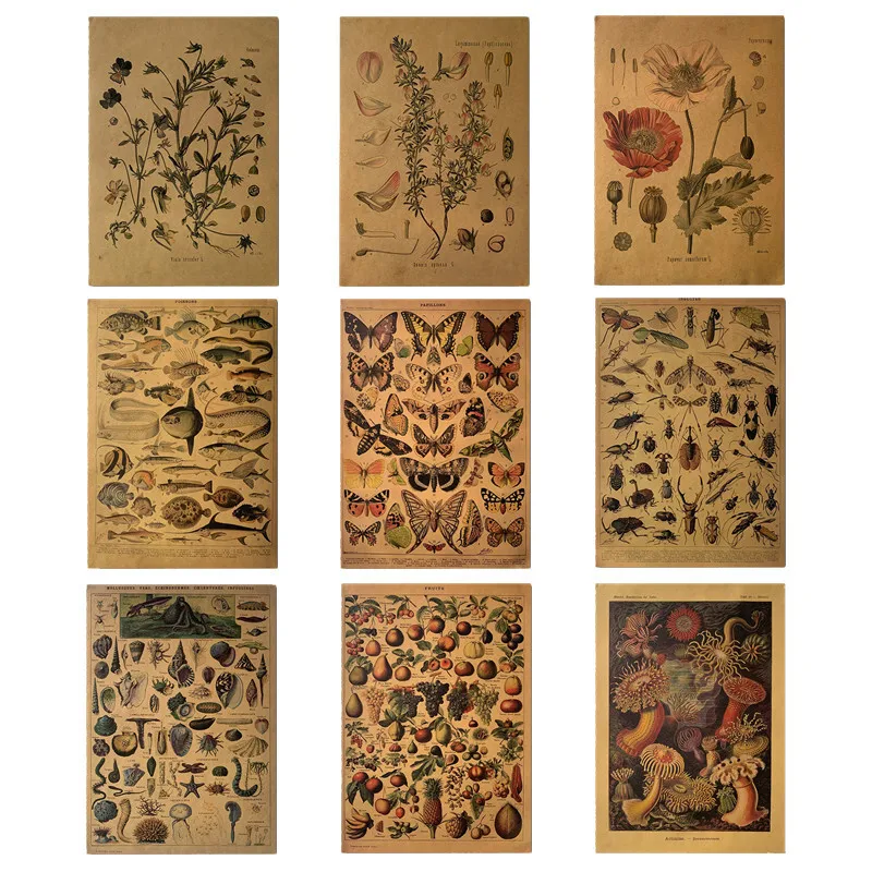 santiago ramon y cajal