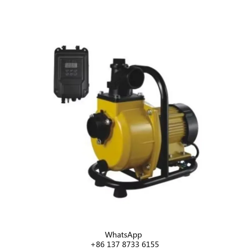 2026 2 INCH Brushless DC Agricultural Irrigation Large Flow 20m Head Pump Solar Self Priming Pump DC Brushless Solar Water Pump