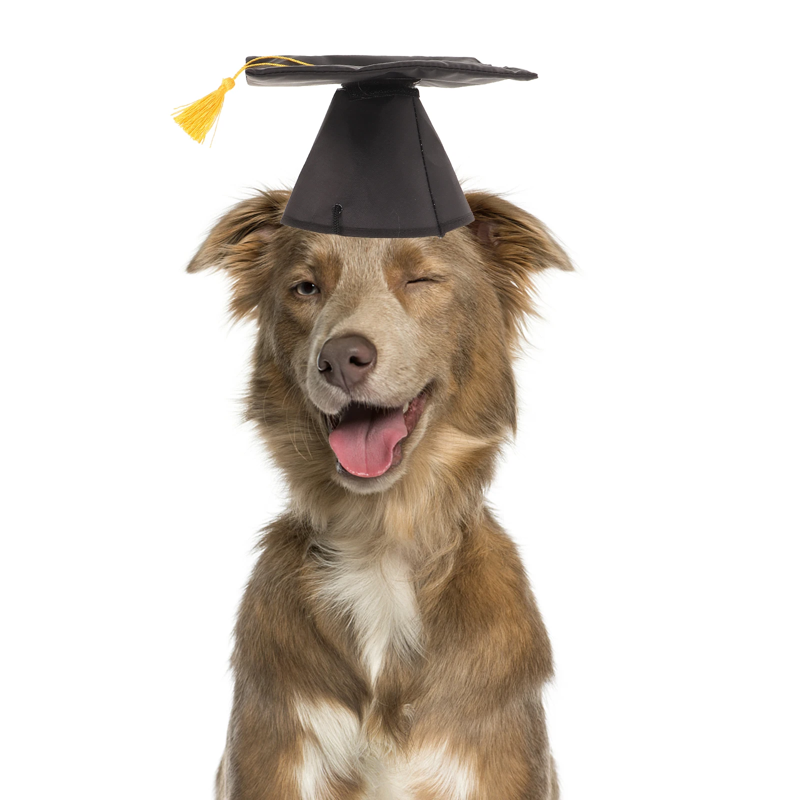 

2pcs Pet Graduation Hat Small Size Lightweight Durable High Quality Ceremony Party Supplies Dog Coat Tassel Cap