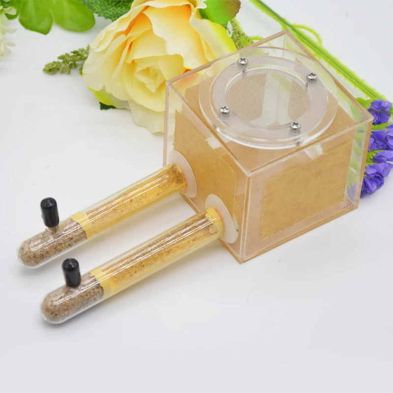 Pet Ants Flat Lay Test Tube Nest Concrete Ant Nest Ant Eco Workshop 15mm Calibre Insect Feeding Observation Box