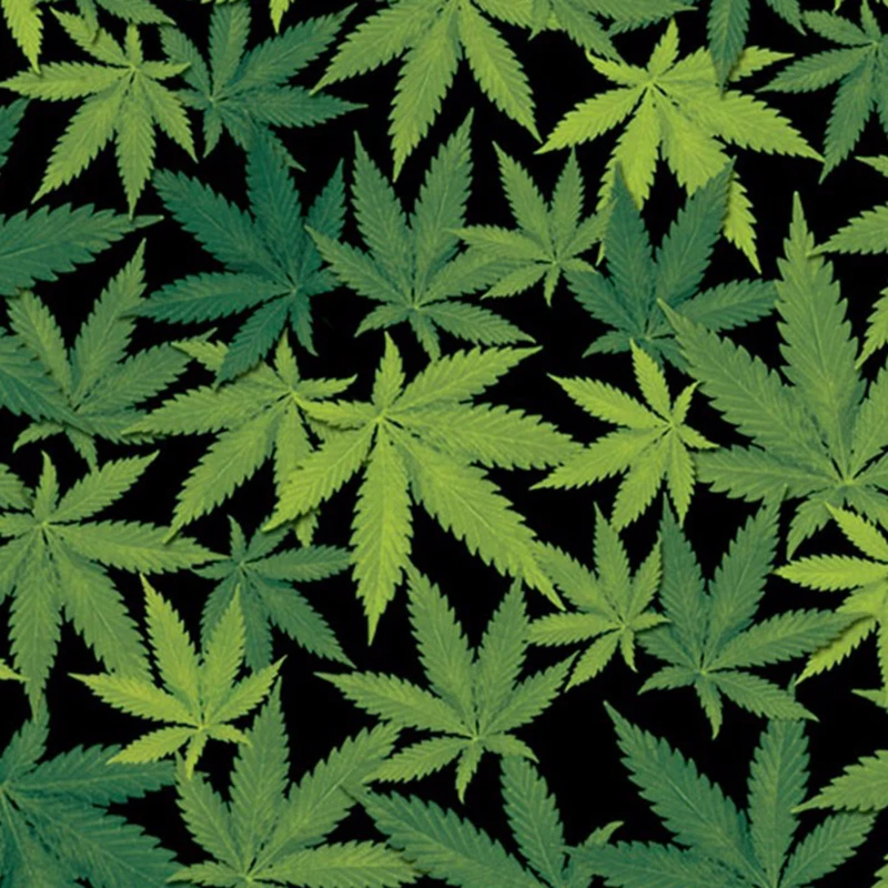 

TSAUTOP TSMX380 0.5m*2m/10m green leaves pattern hydrographic printed film water transfer film