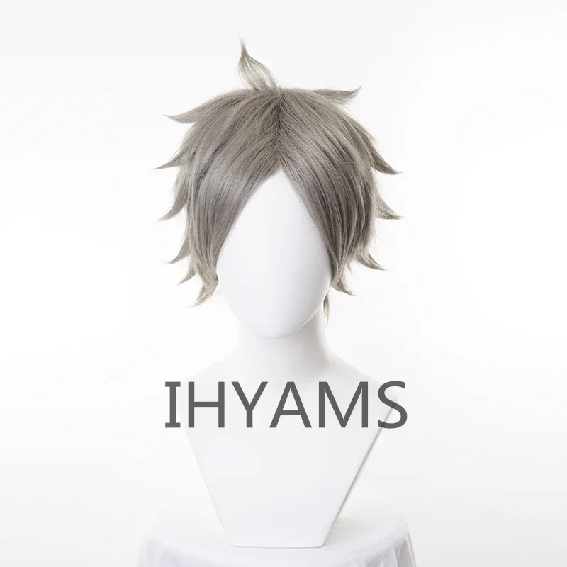 

SEMI EITA Cosplay Wigs Grey Short Fluffy Layered Synthetic Hair Cos Wig + Wig Cap