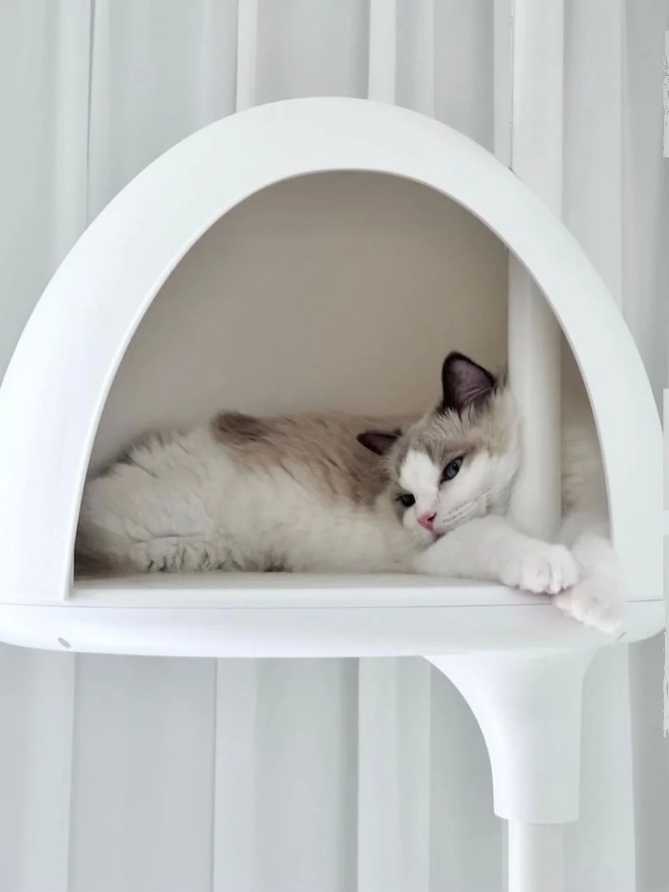 Large luxury cat tree Tongtian resin is detachable