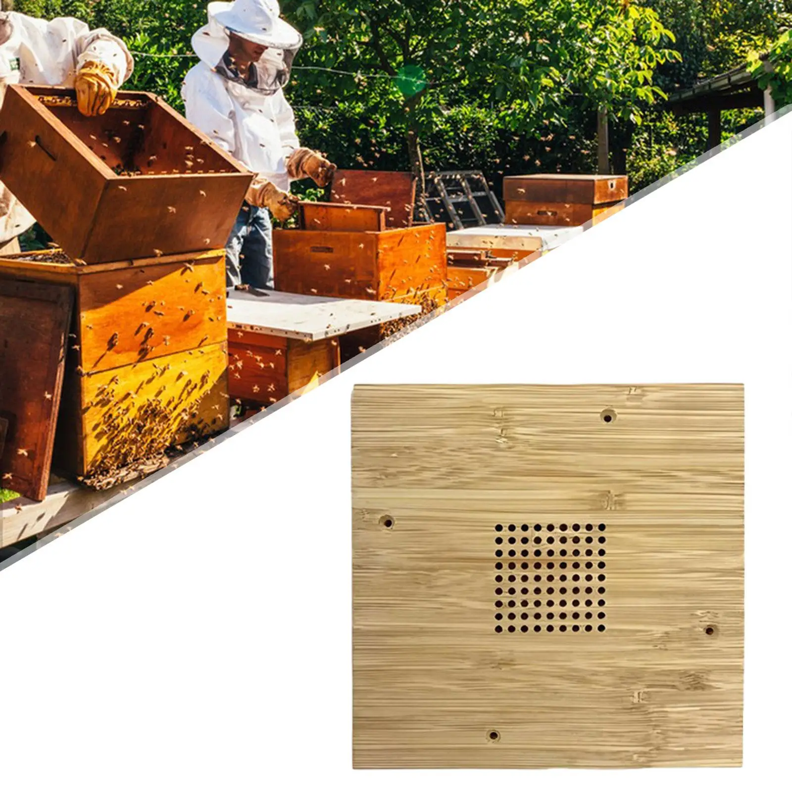 

Bee Escape Board Sturdy Construction Effective Bee Management Frame 20cmx20cm Wood Effortless Installation Portable Hive Divider
