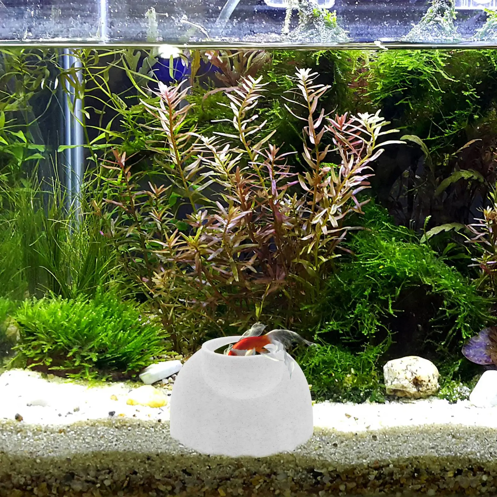 

3D Fish Shrimp Hiding Caves Betta Habitat Tunnel Aquarium PVC Hides Freshwater Cave Shelter Tank Decor Breeding Nest