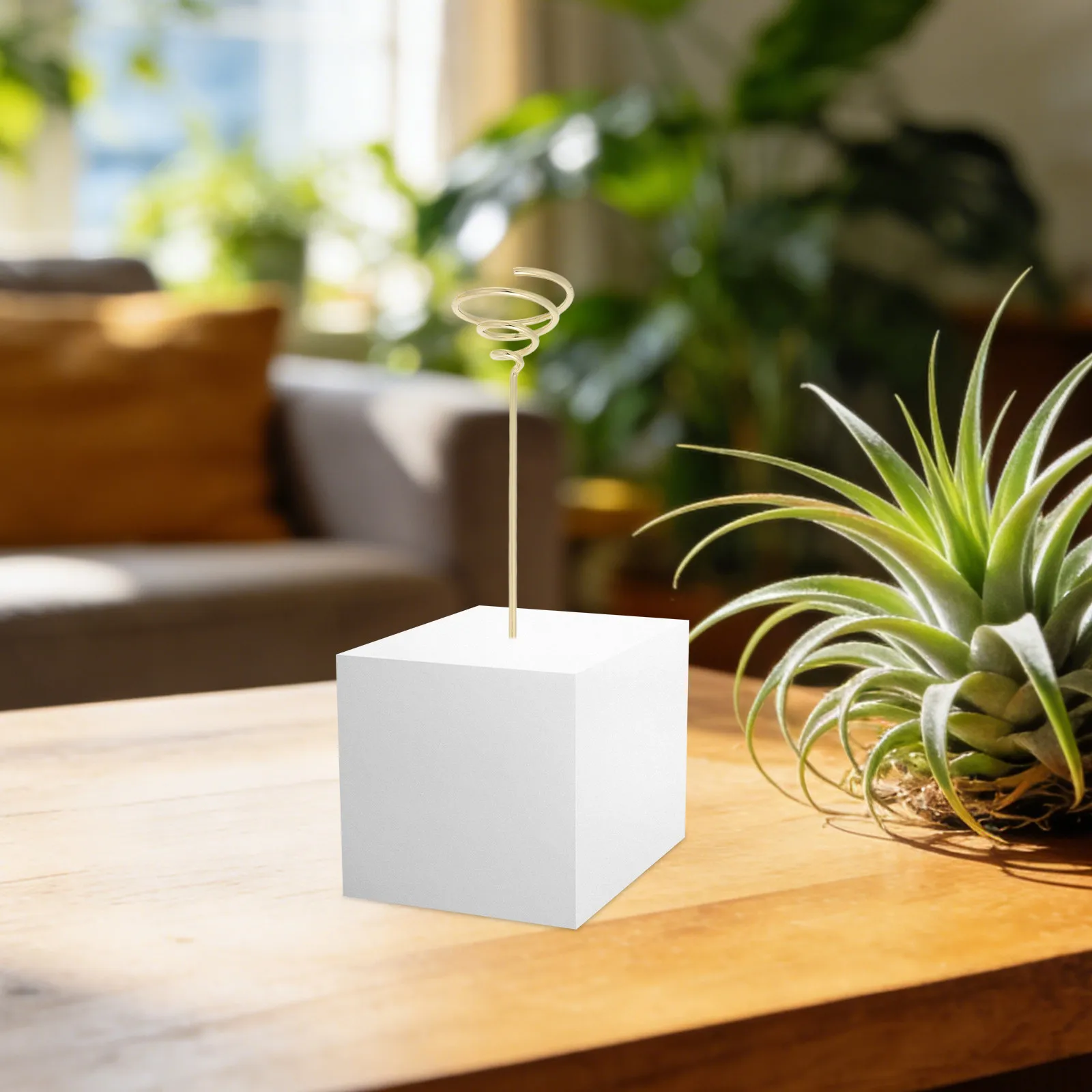 6 Soportes Geométricos Electrochapados para Plantas Aéreas, Base Metálica con Resorte para Tillandsias, Exhibidor Decorativo de Escritorio/Pared