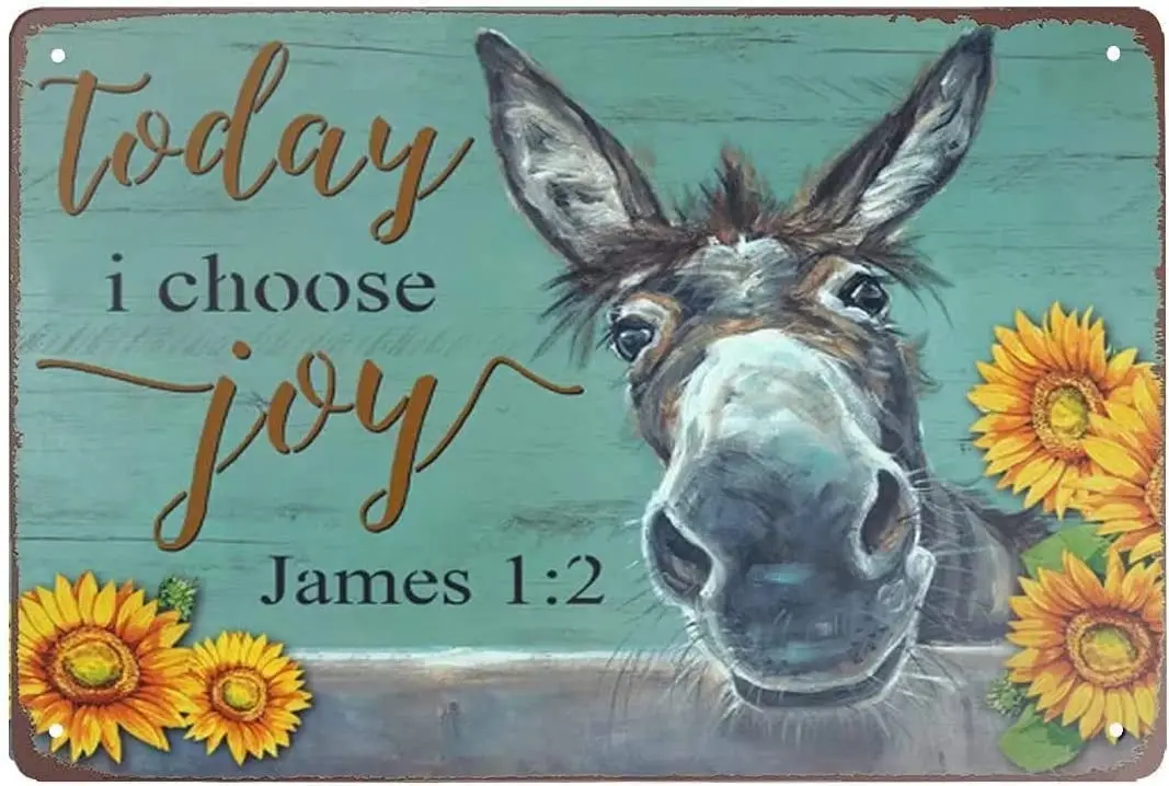 Retro New Metal Tin Sign Florist Sunflower Donkey Today I Choose Joy Iron Painting Wall Decor Poster Wall Art Nostalgic for sign