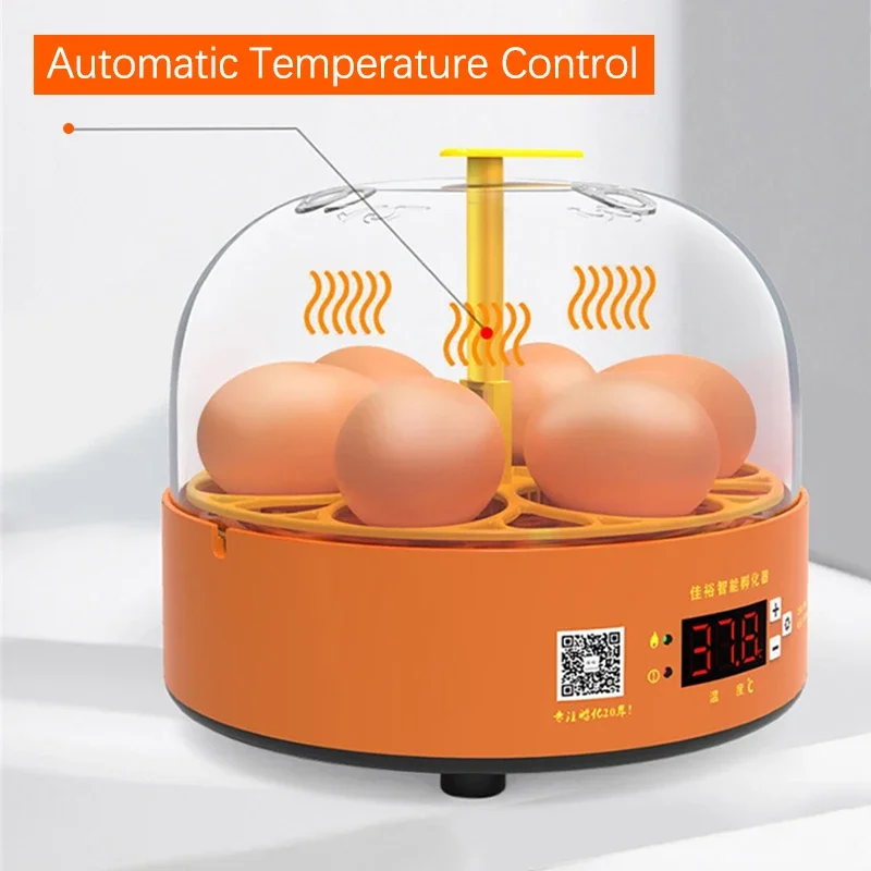6 Eggs Fully Automatic Turning Hatchery Incubator Egg Brooder Machine Mini Household Digital Temperature Control Hatching Device view 5