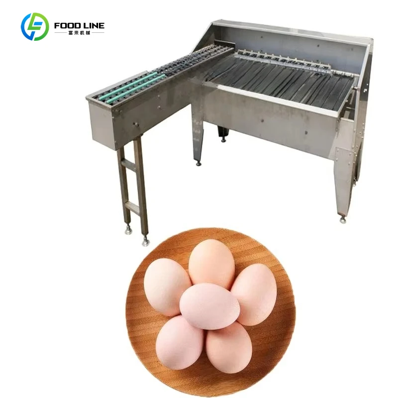 5000Pcs/h Small Egg Processing Unit Automatic Egg Size Grading Sorting Machine