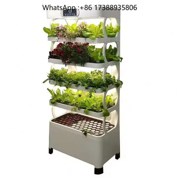 Home Use  Vegetable Fruit Flower Hydroponic System  Irrigation&hydroponics Equipment