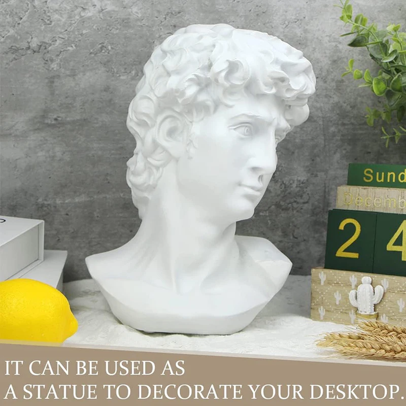 5.9Inch High Greek Statue of David Head Classic Roman Bust Greek Mythology Sculpture for Art Drawing Home Office Decor