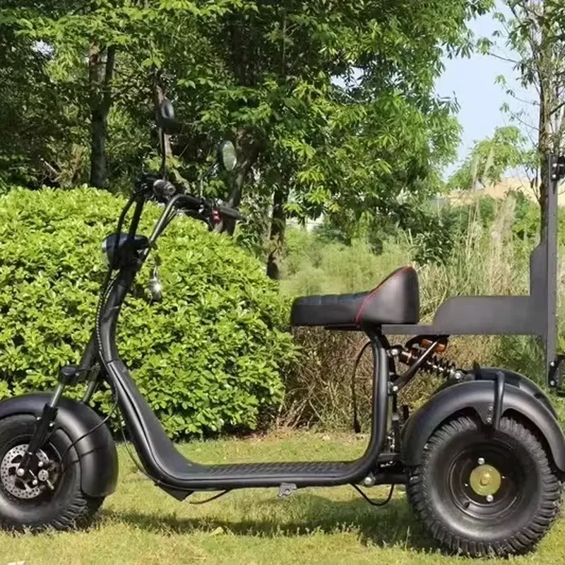 STROVAN Classical New Model Electric Scooter 3 Wheels Golf Club Fat Tire Safe Sport Type Citycoco With Golf Rack Good Quality