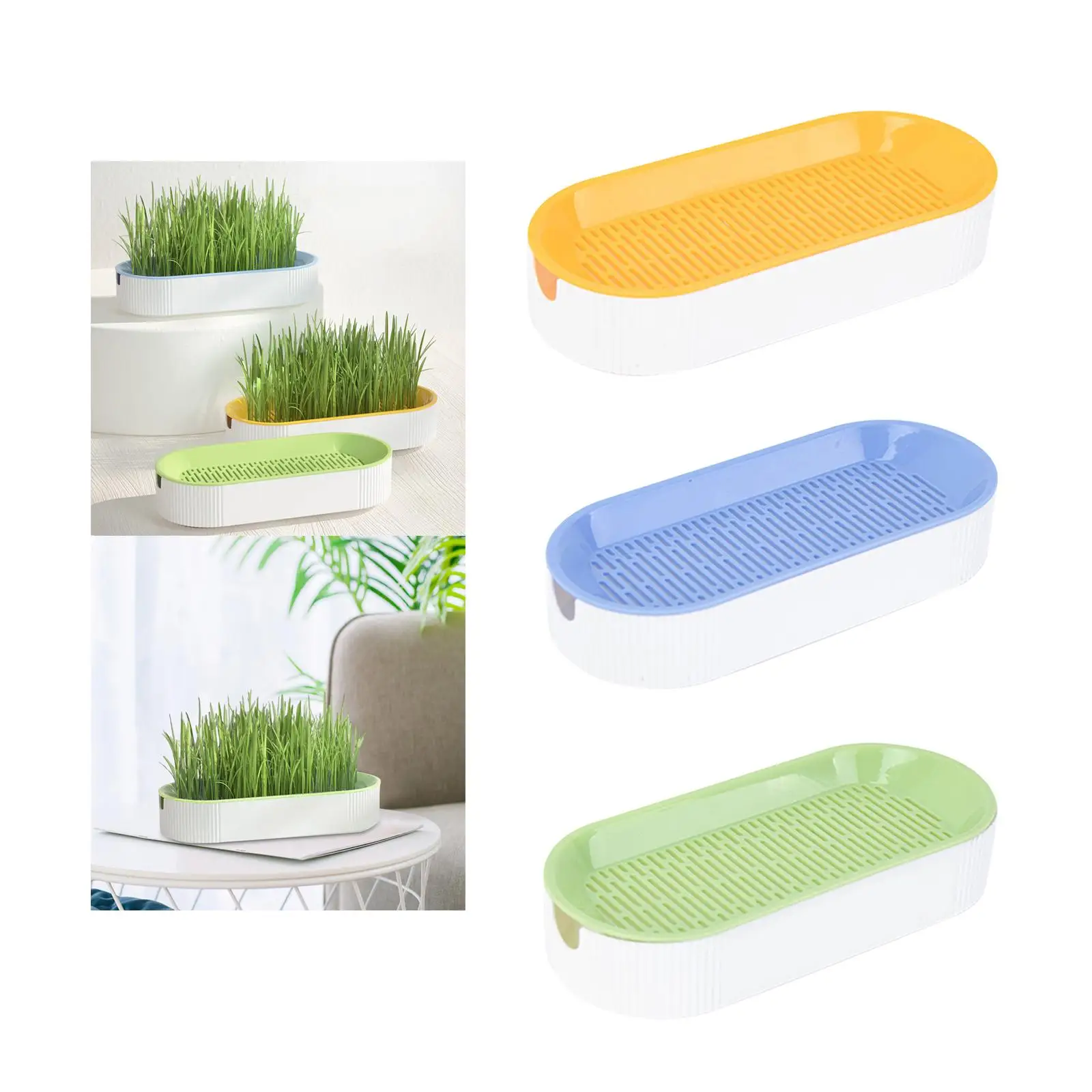 Bandeja para brotes de semillas con orificios de drenaje, cultivador de pasto de trigo, bandeja hidropónica para césped para gatos, bandeja para brotes de hierba para gatos para jardín de microverdes