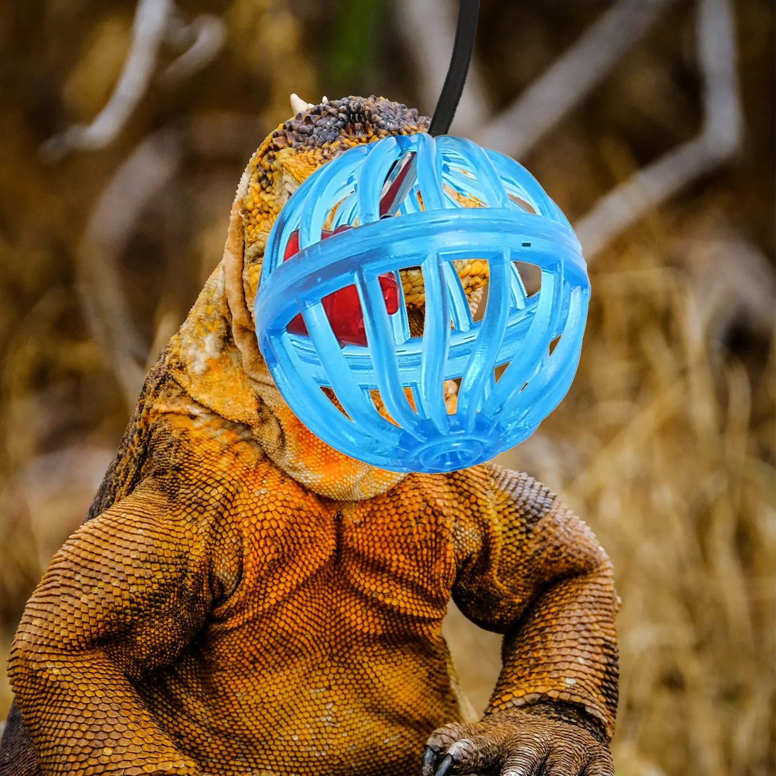 

7Pcs Reptile Bell Ball Portable Hanging Climbing Chewing for Bearded Dragon Lizard Gecko Compact Funny Reptile Supply Home