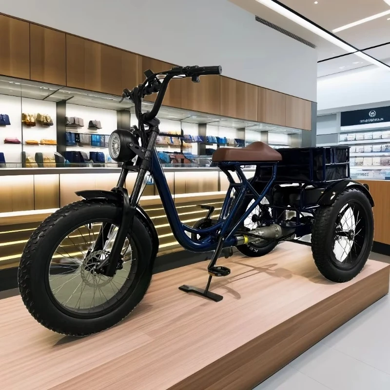 Never Roll Cargo and Passenger Electric Tricycle 48V 500W Adult Steel Ebike Trike with Lithium Battery