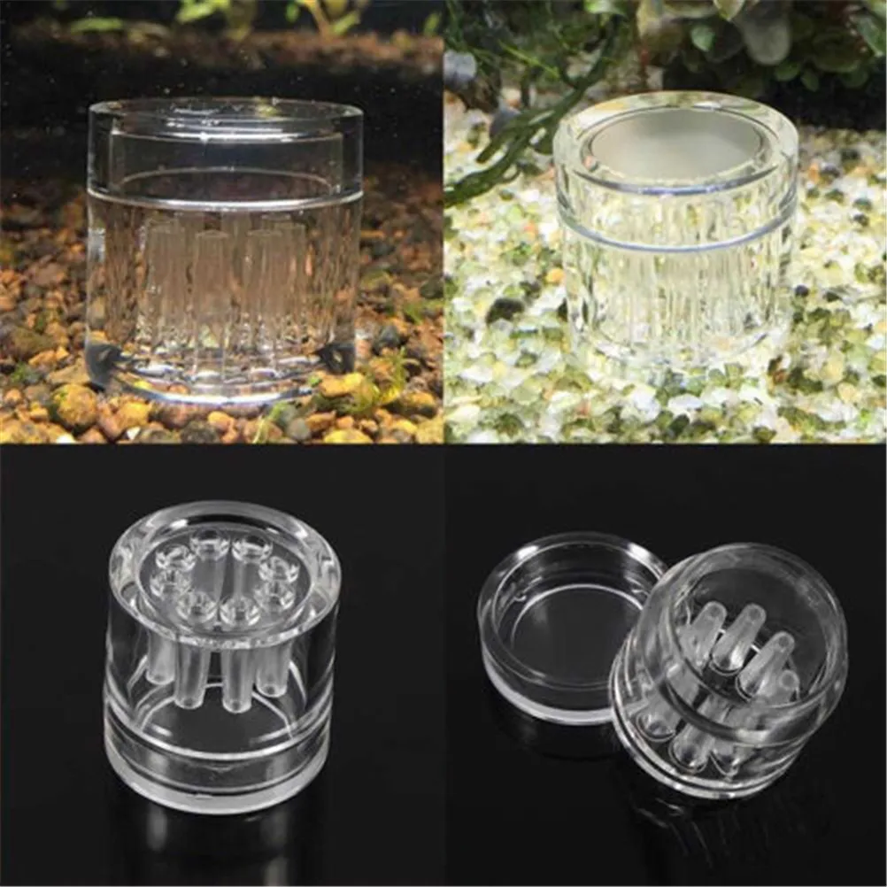 1PC Planaria Trapping Tool - 8 Hole Snail Trap Free Bait For Aquarium Fish Plants Tank Planarian Leech Catch【Homeclub】